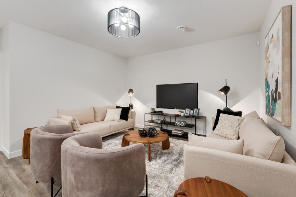 Basement living room with couches and TV